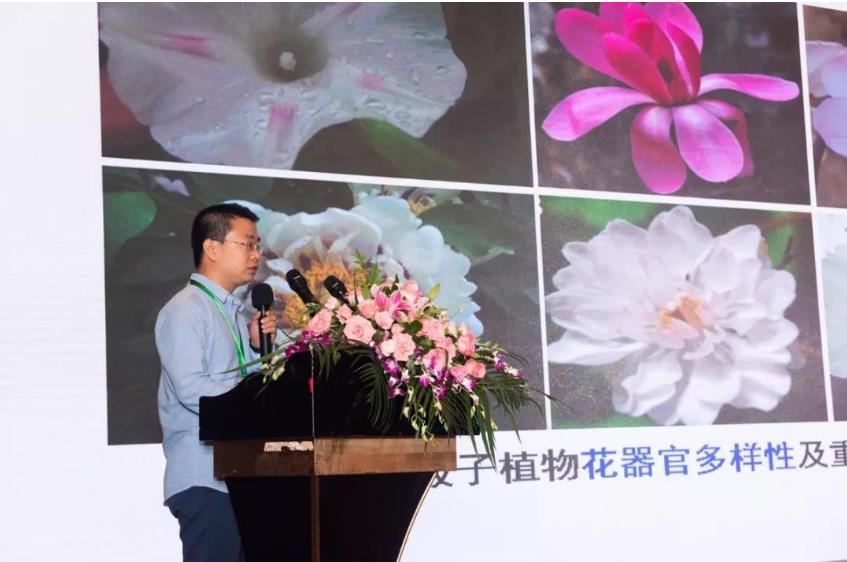 循環(huán)經(jīng)濟(jì)