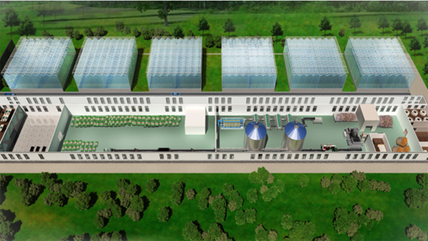 餐廚垃圾處理 餐廚垃圾處理